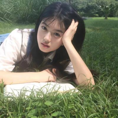 万紫千红花弄蝶
