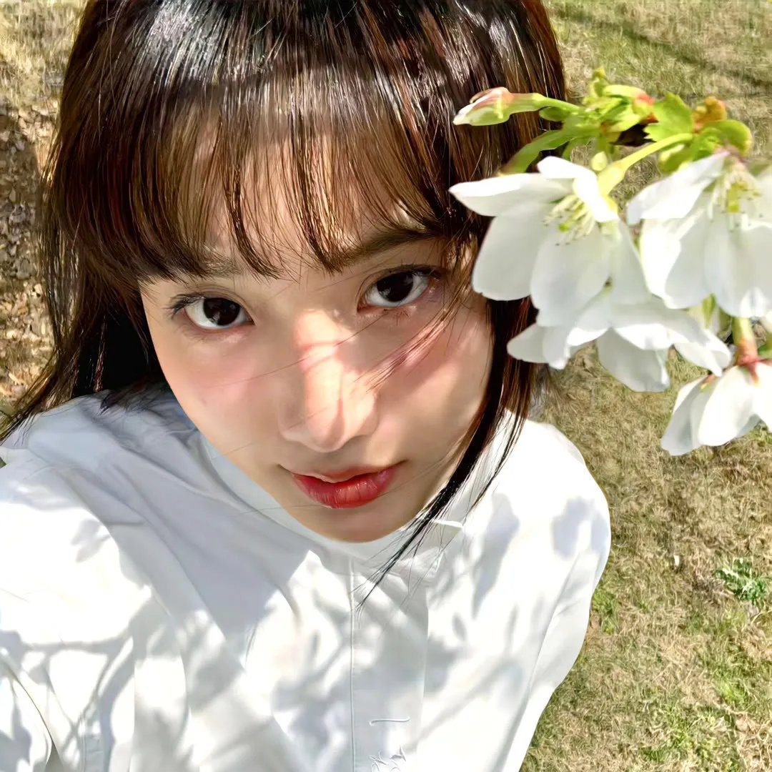 真由美